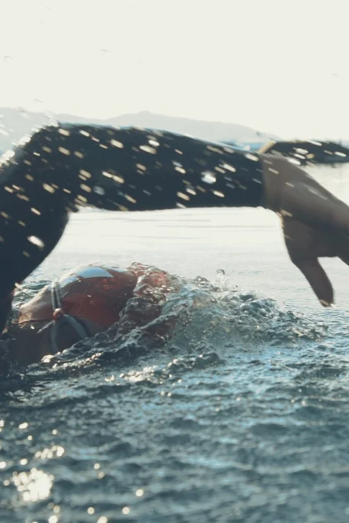 „Armzug eines Schwimmers im offenen Wasser bei Sonnenschein“
